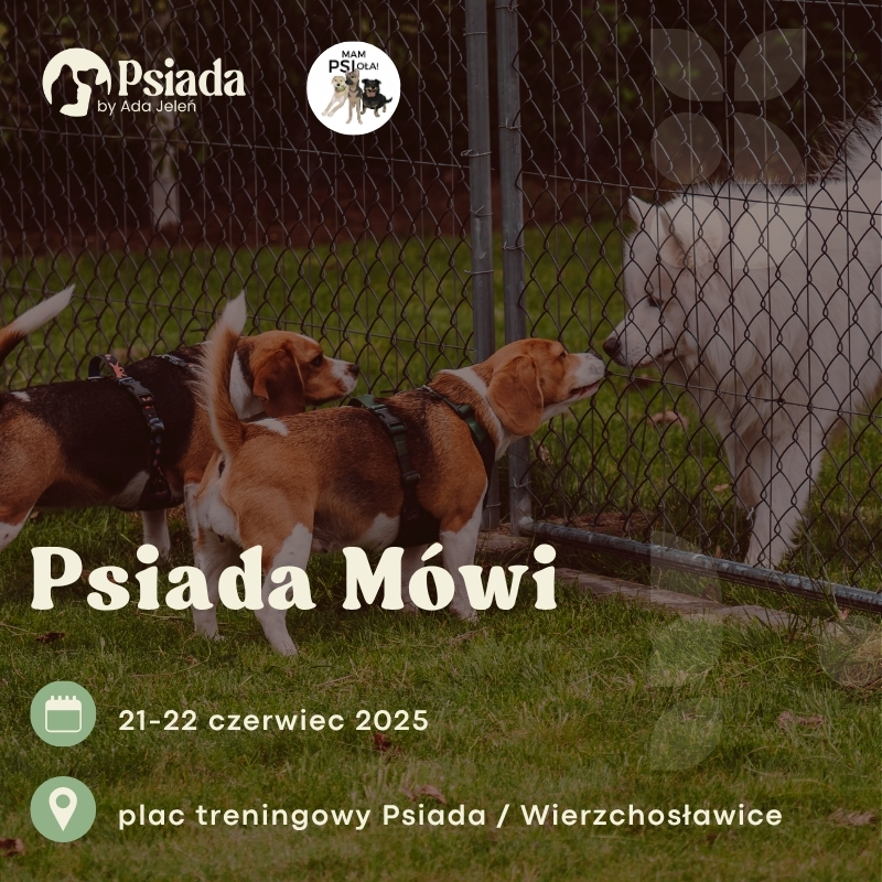 „PSIADA Mówi” zajęcia z komunikacji przez barierę